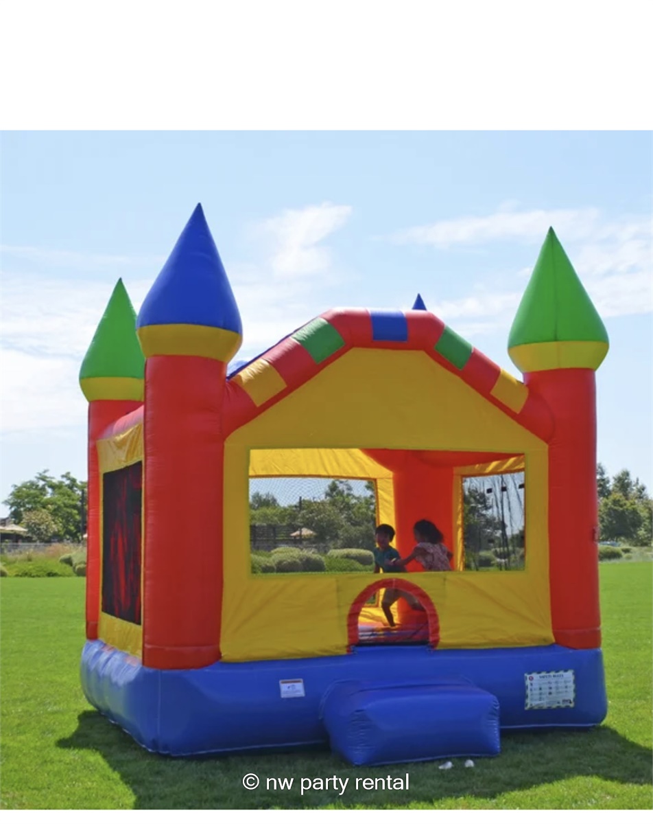 15 x 13 Bounce Houses Hire in Salem va, Roanoke, Va, christiansburg